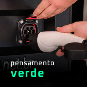 fever pensamento verde